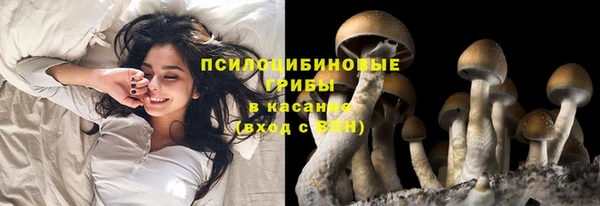 не бодяженный Волоколамск