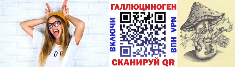 наркота  Стрежевой  Псилоцибиновые грибы Psilocybe 